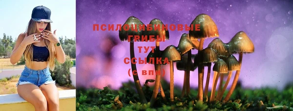 прущий лед Абинск