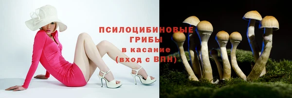 спайс Алзамай