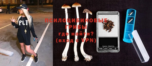 сатива Абдулино