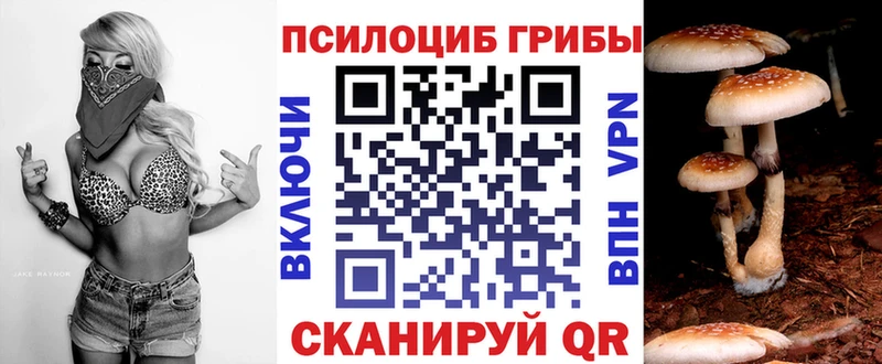 цена   Черногорск  Галлюциногенные грибы Psilocybe 